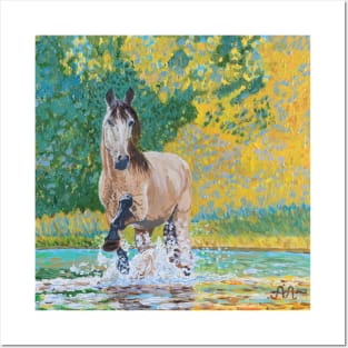 A horse splashing in water Posters and Art